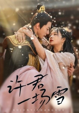 许君一场雪
