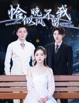 恰似晚风不留我 弃他如风