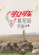 桃花坞开放中第四季