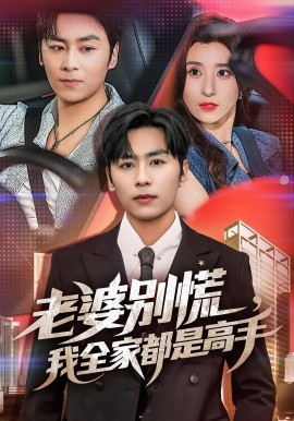 老婆别慌我全家都是高手