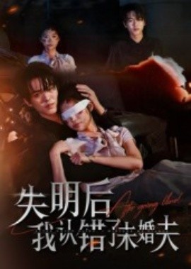 失明后我认错了未婚夫