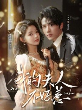 我的夫人不好惹 你好，我的旅长夫人