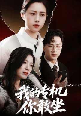 我的专机你敢坐