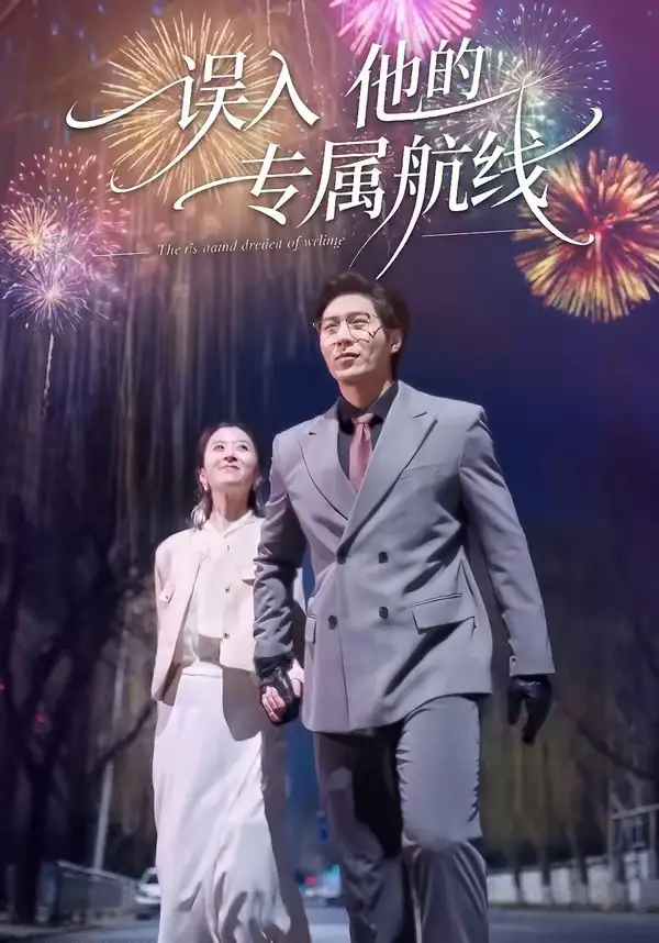 误入他的专属航线